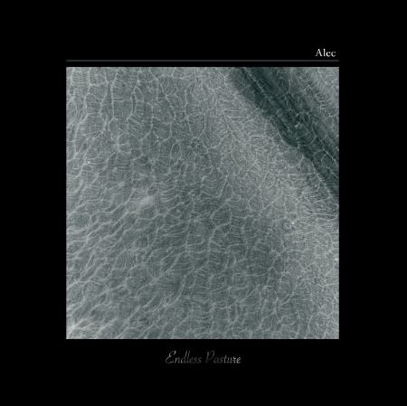 Alec – Another&nbsp;Party